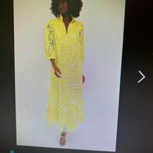 Tuckernuck Yellow Lace Maxi Dress